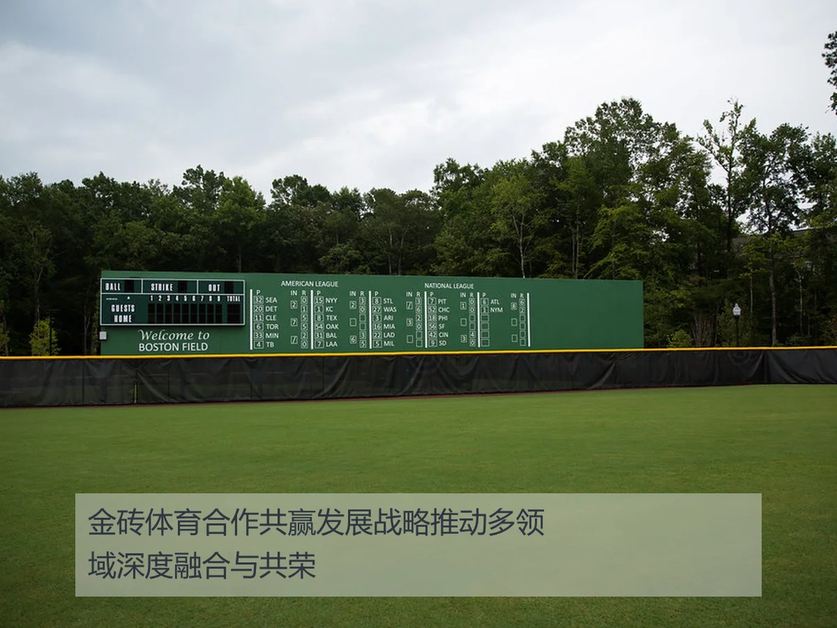 金砖体育合作共赢发展战略推动多领域深度融合与共荣